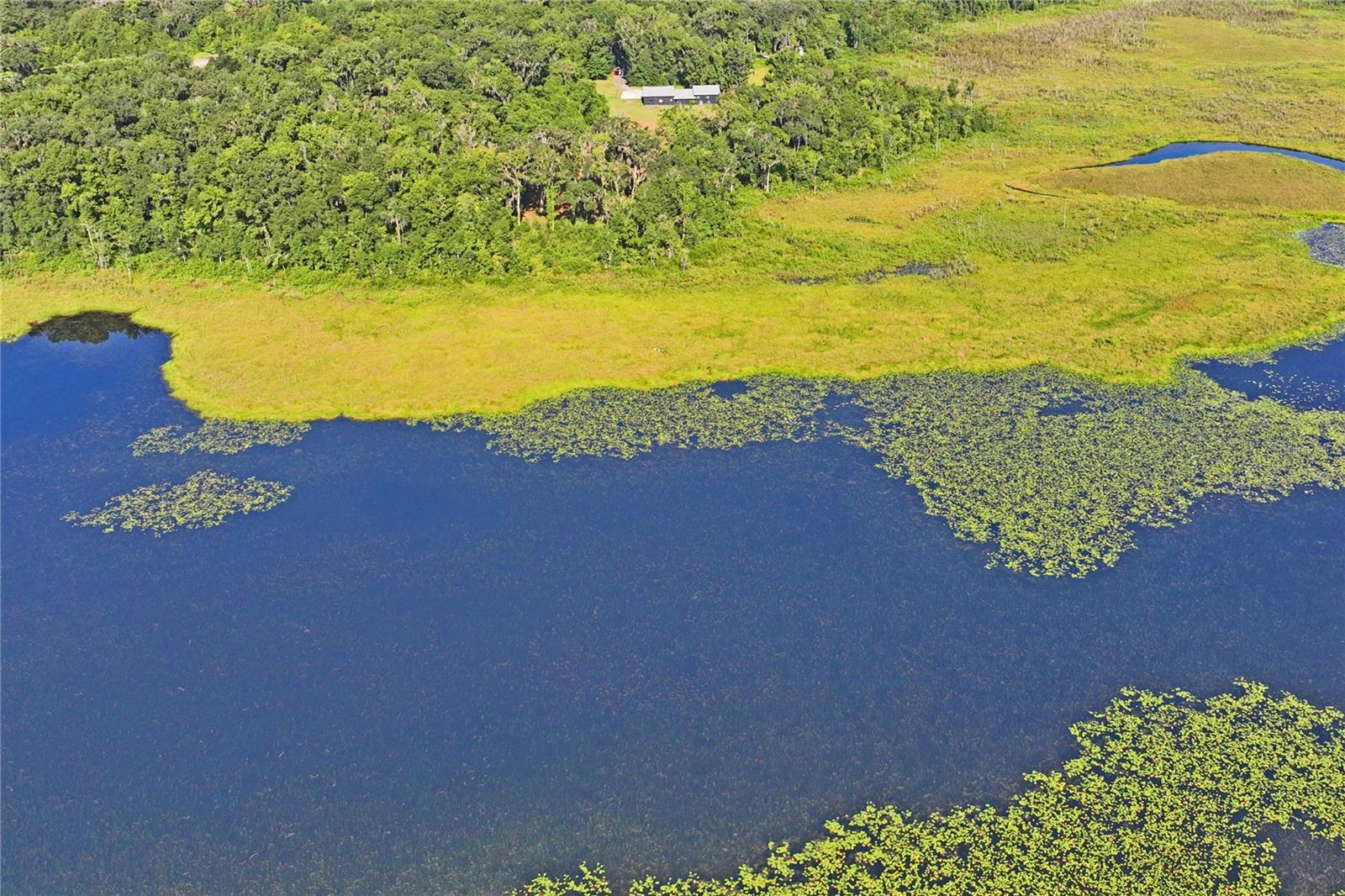 13600 PONCE DE LEON BLVD, BROOKSVILLE, FL, 34601