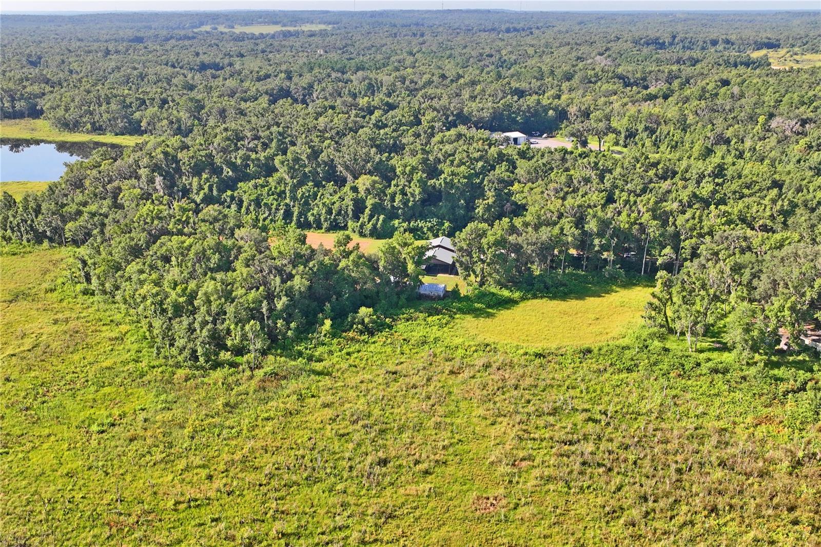 13600 PONCE DE LEON BLVD, BROOKSVILLE, FL, 34601
