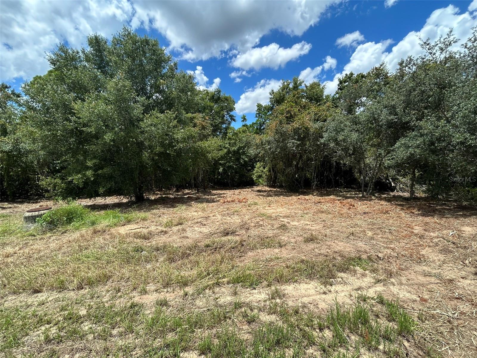 2403 PECOS LN, POINCIANA, FL, 34759
