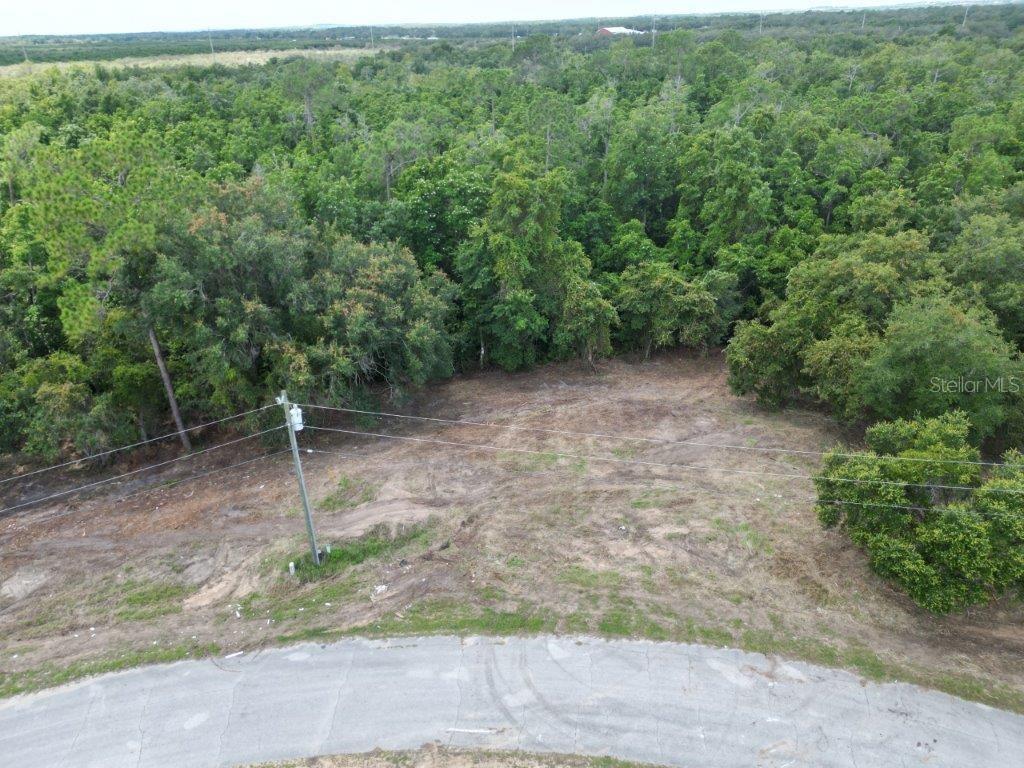 2403 PECOS LN, POINCIANA, FL, 34759