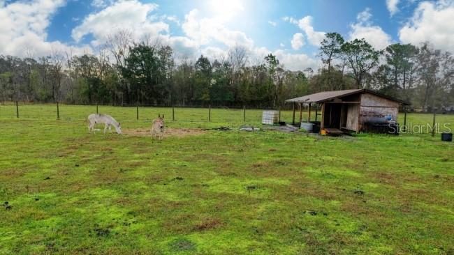 1850 SLOANS RIDGE ROAD, GROVELAND, FL, 34736