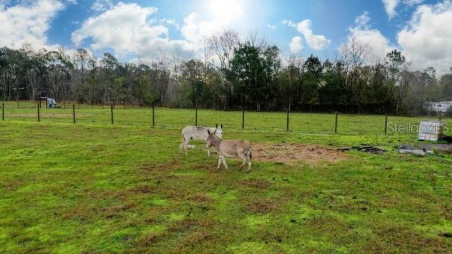 1850 SLOANS RIDGE ROAD, GROVELAND, FL, 34736