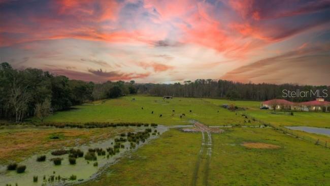 1850 SLOANS RIDGE ROAD, GROVELAND, FL, 34736