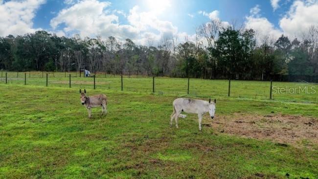 1850 SLOANS RIDGE ROAD, GROVELAND, FL, 34736