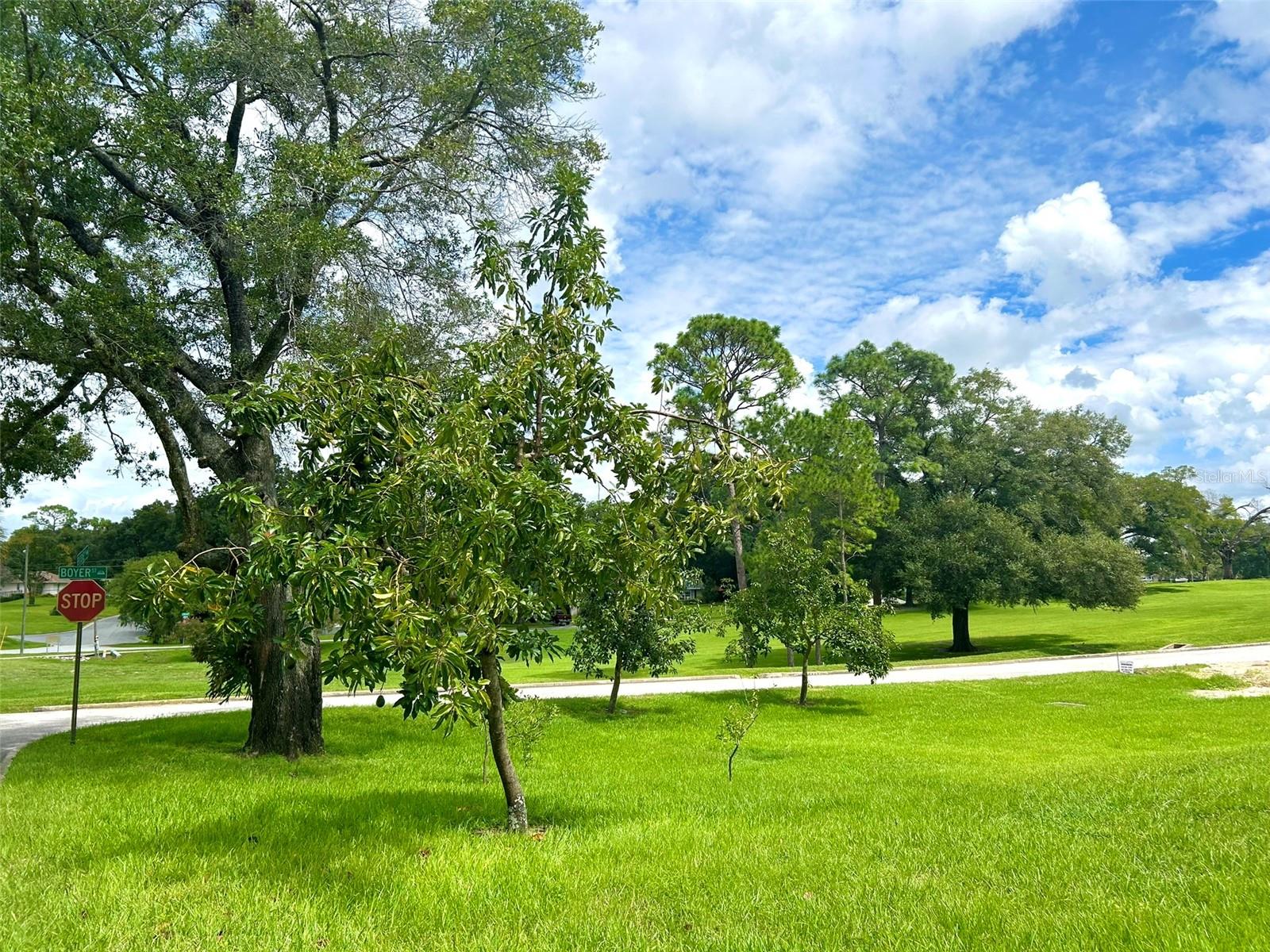 349 BODIE ST, LONGWOOD, FL, 32750