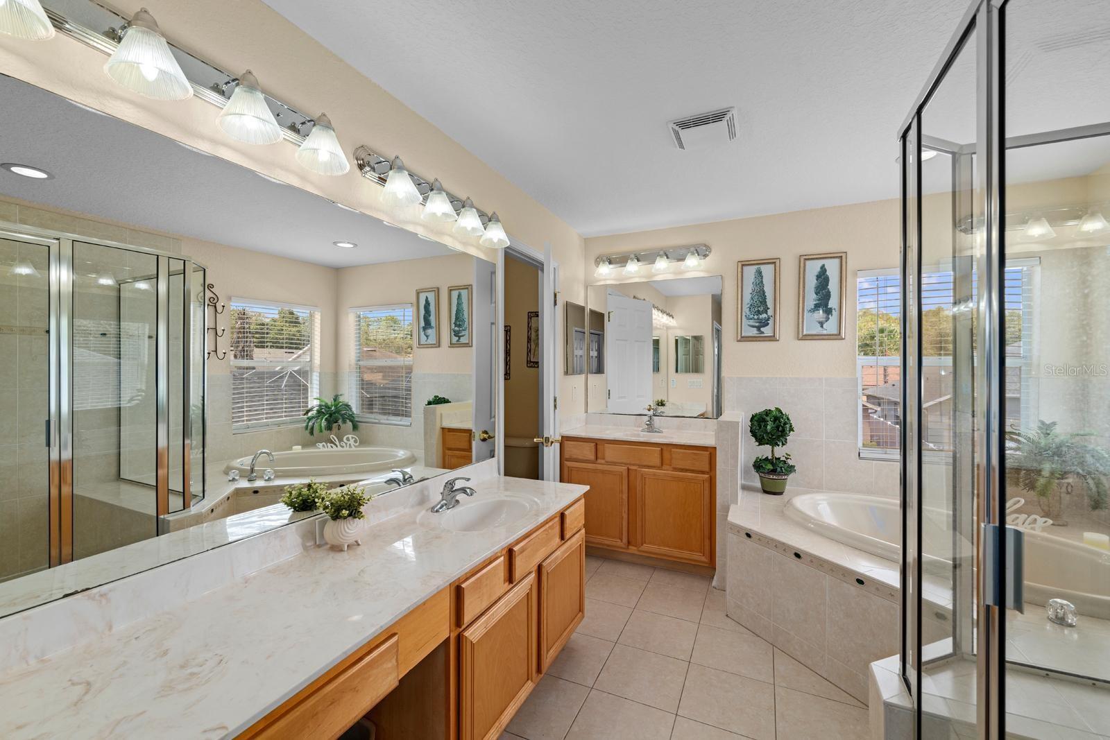 10648 WEEPING ELM BND, LAND O LAKES, FL, 34638