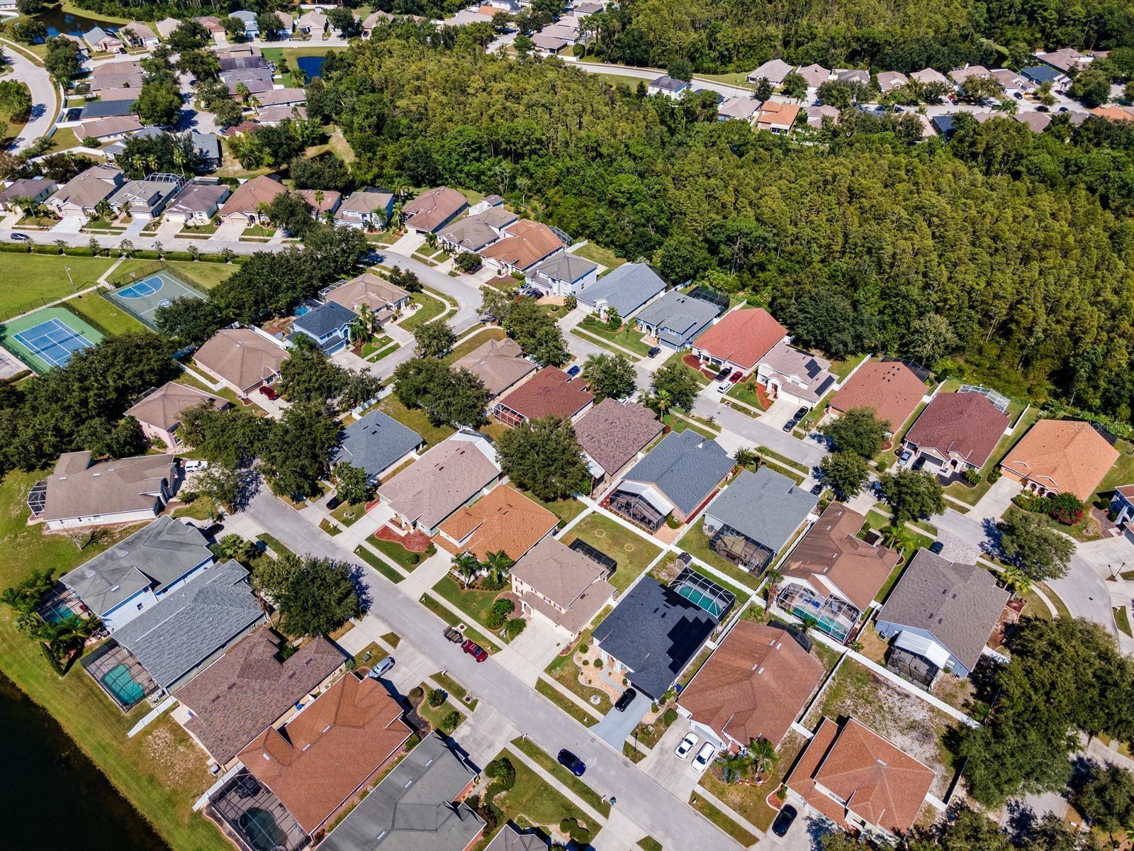 10648 WEEPING ELM BND, LAND O LAKES, FL, 34638