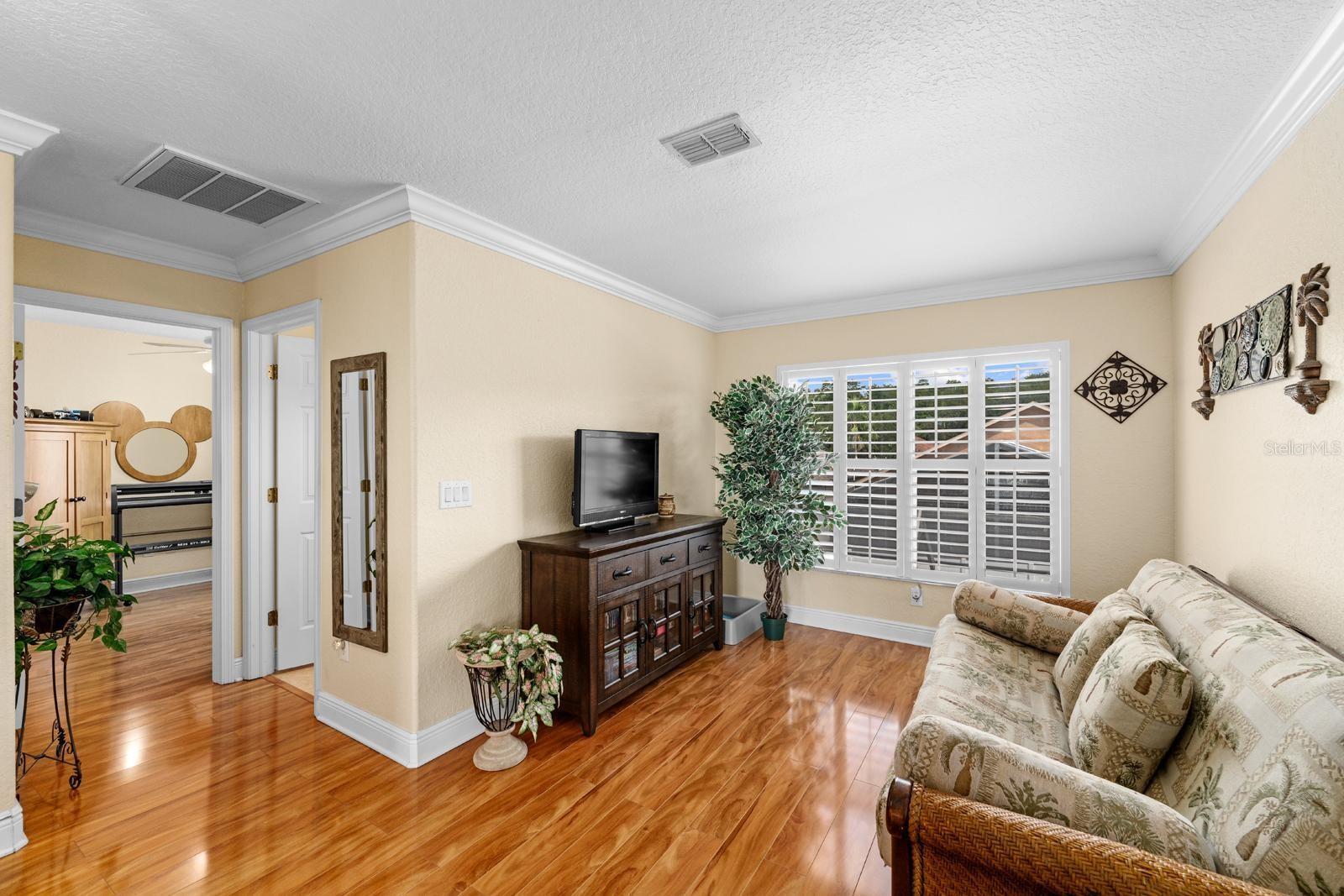10648 WEEPING ELM BND, LAND O LAKES, FL, 34638