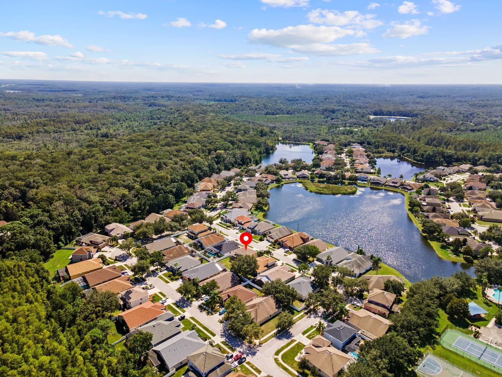 10648 WEEPING ELM BND, LAND O LAKES, FL, 34638
