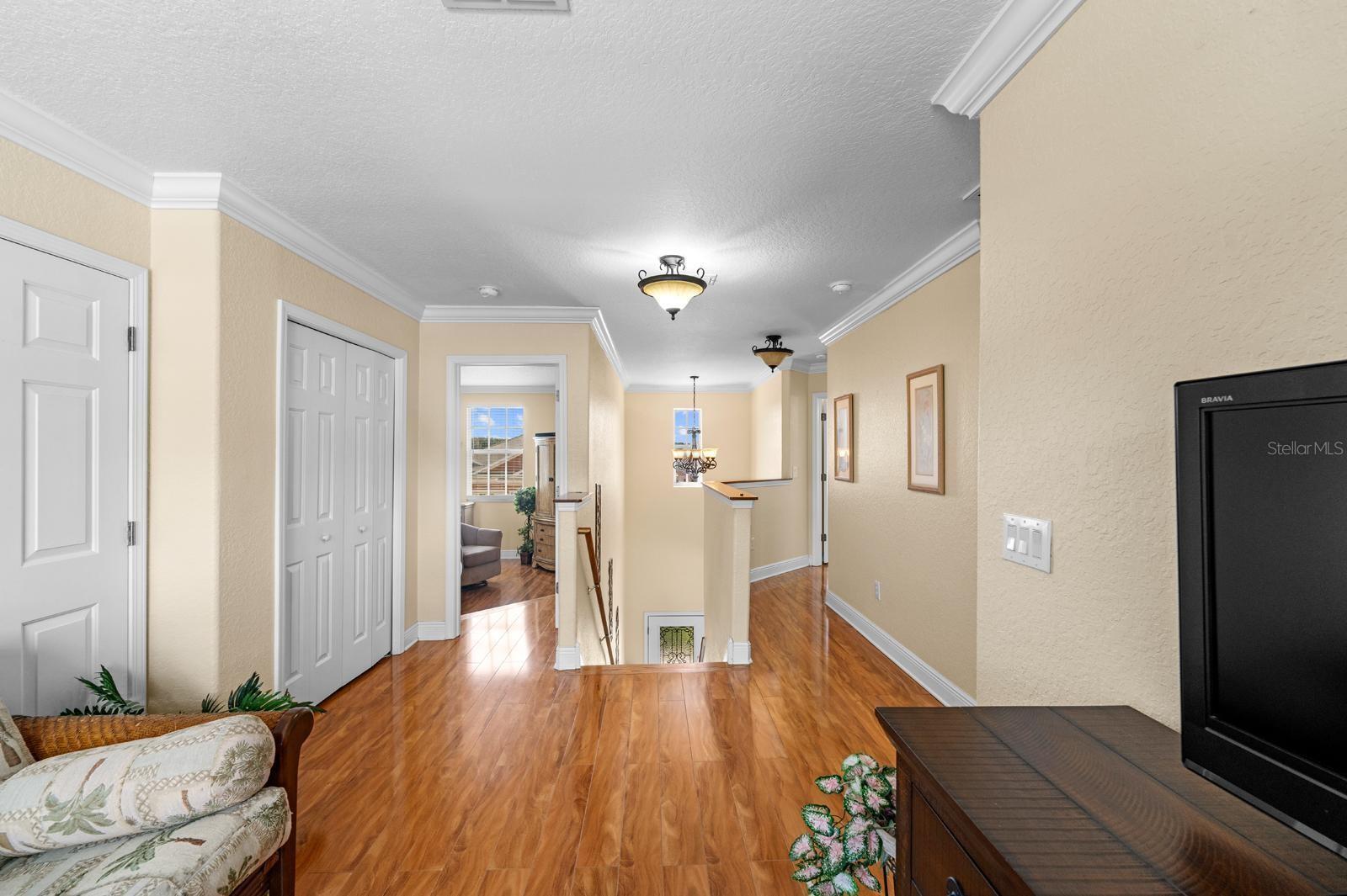10648 WEEPING ELM BND, LAND O LAKES, FL, 34638