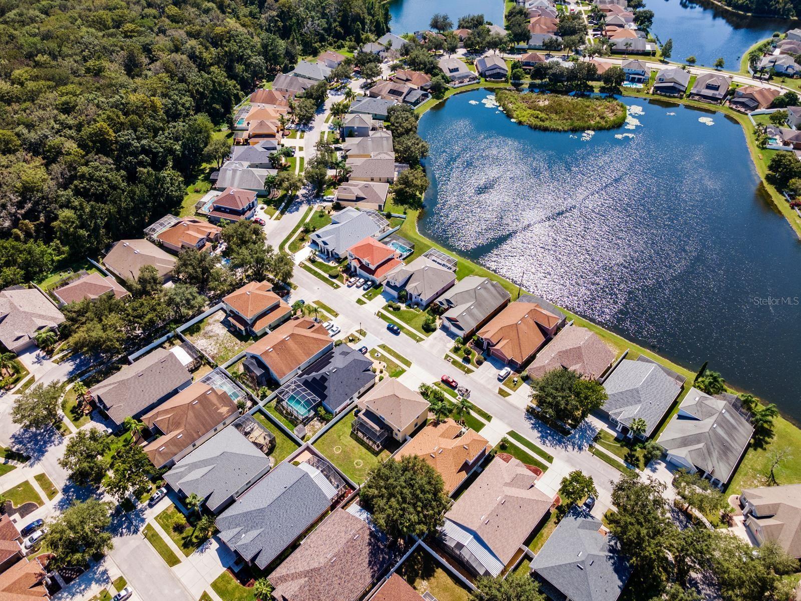 10648 WEEPING ELM BND, LAND O LAKES, FL, 34638