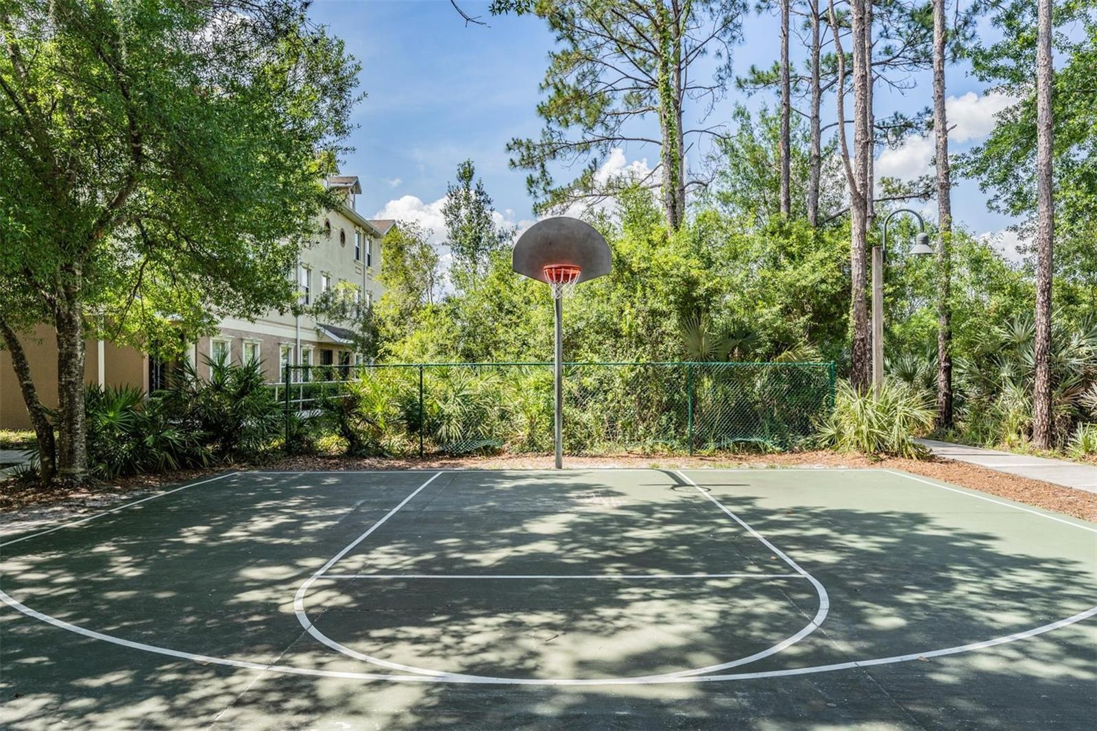 17809 SANDPINE TRACE WAY, TAMPA, FL, 33647