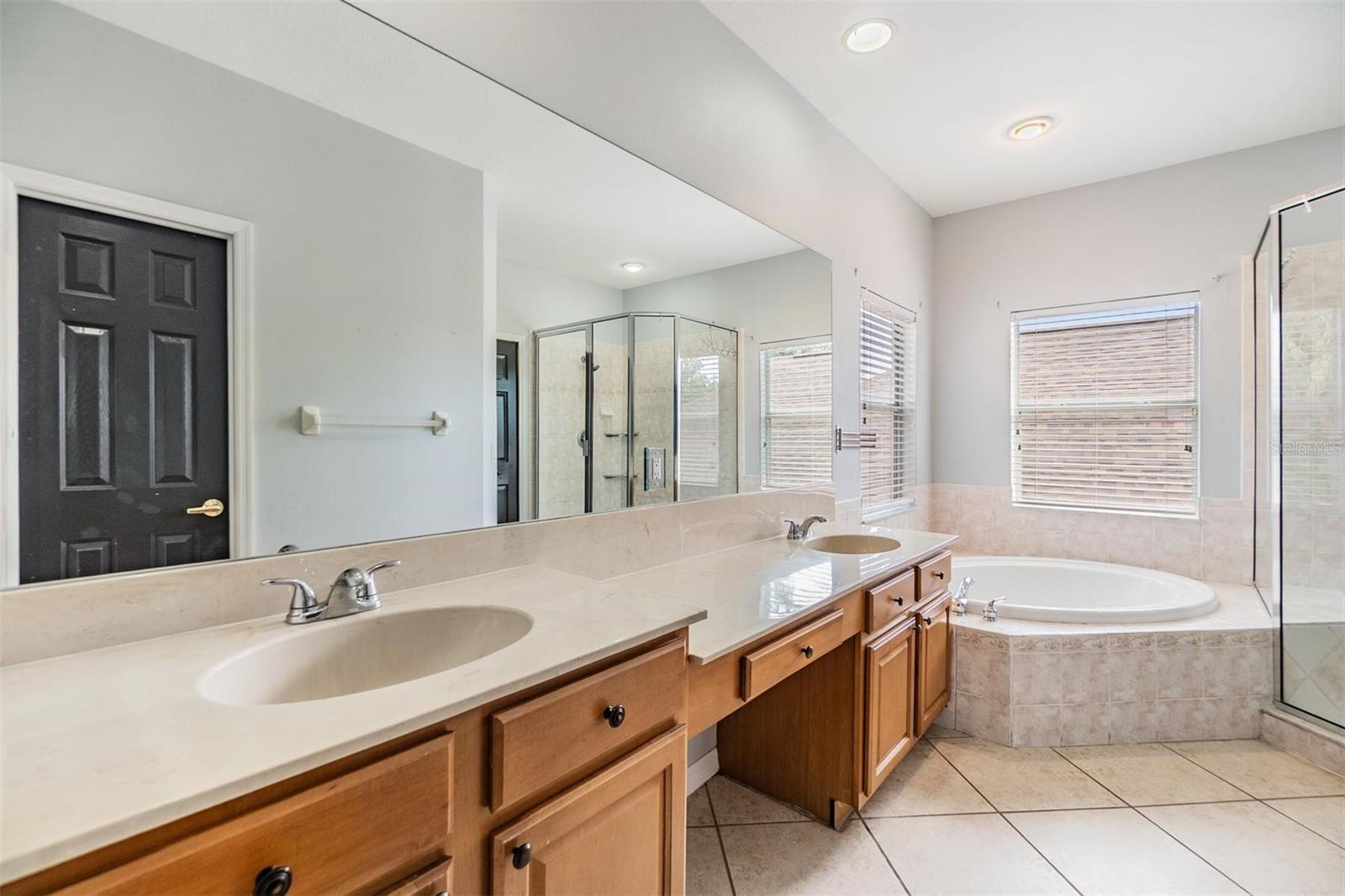 17809 SANDPINE TRACE WAY, TAMPA, FL, 33647
