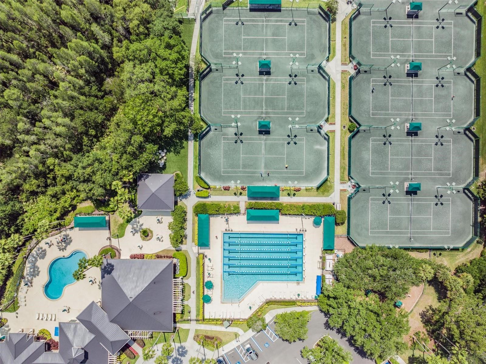 17809 SANDPINE TRACE WAY, TAMPA, FL, 33647