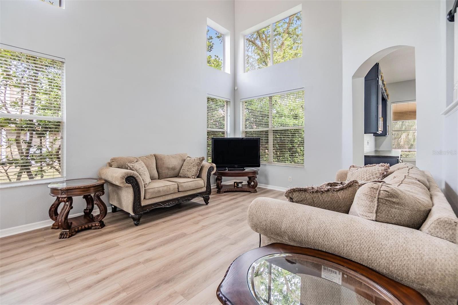17809 SANDPINE TRACE WAY, TAMPA, FL, 33647