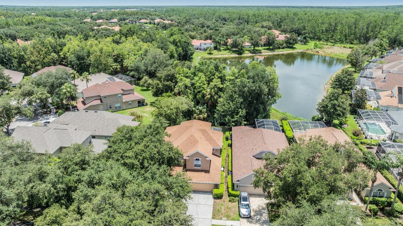 17809 SANDPINE TRACE WAY, TAMPA, FL, 33647