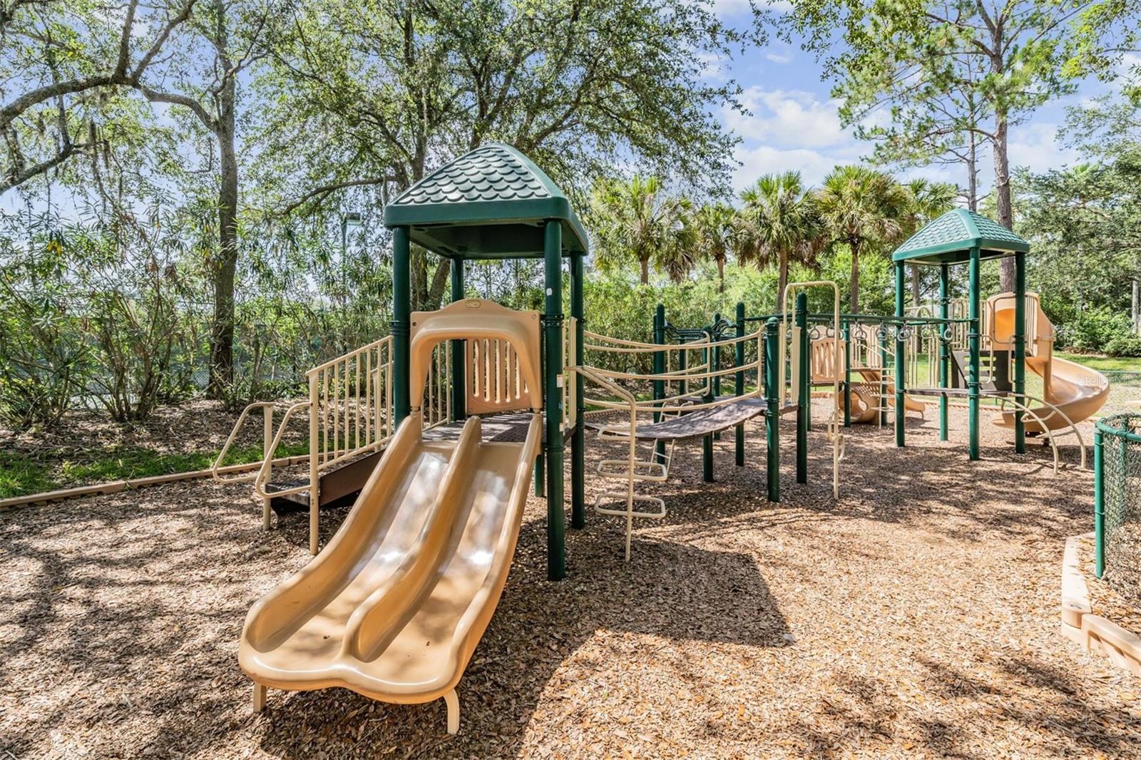 17809 SANDPINE TRACE WAY, TAMPA, FL, 33647