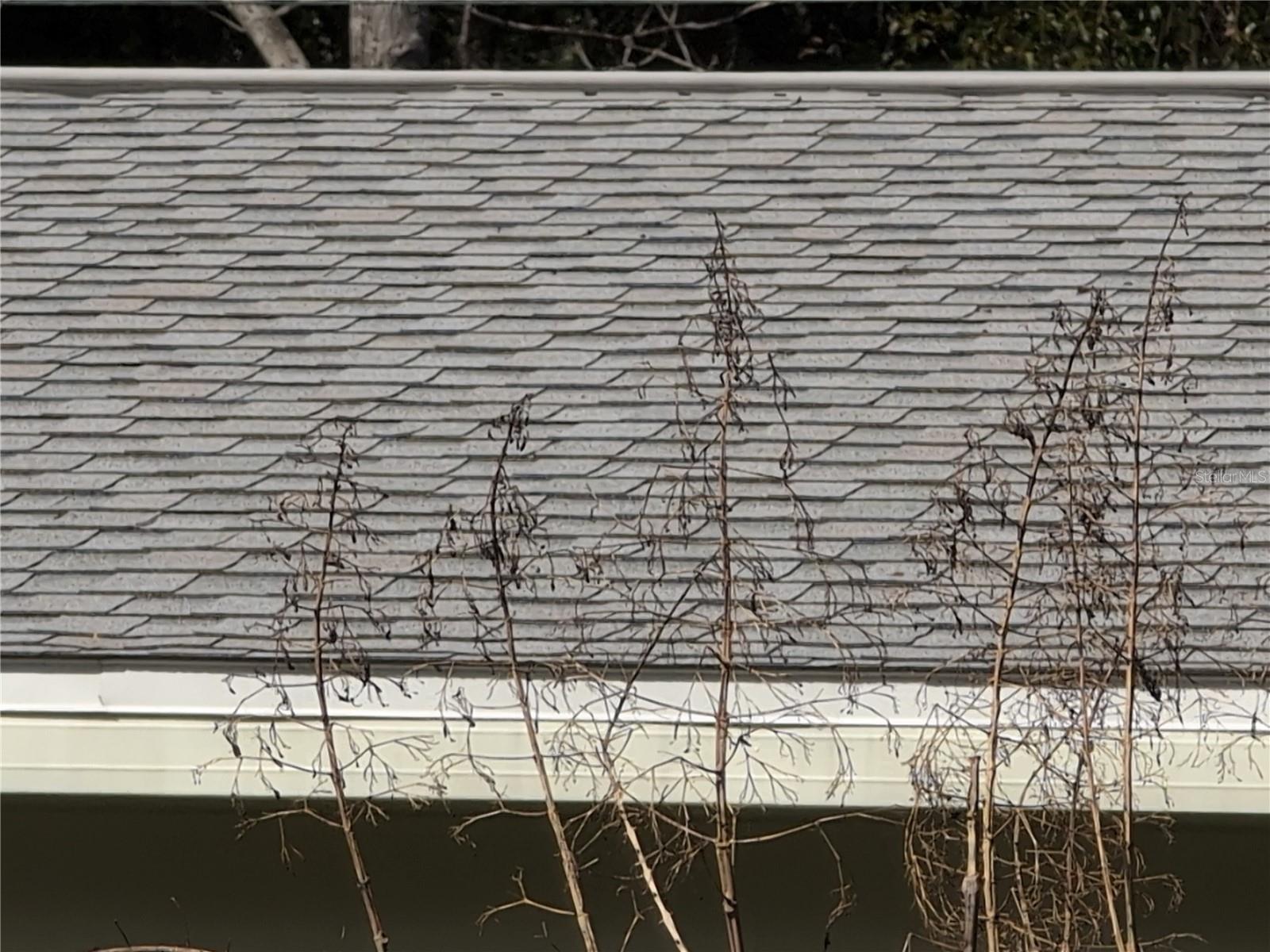 1105 NE 45 PL, OCALA, FL, 34479