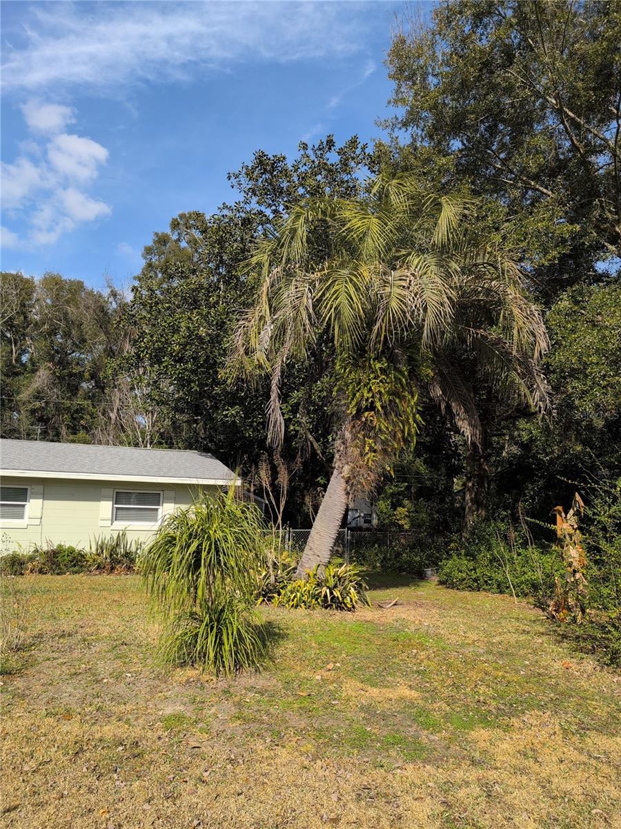 1105 NE 45 PL, OCALA, FL, 34479