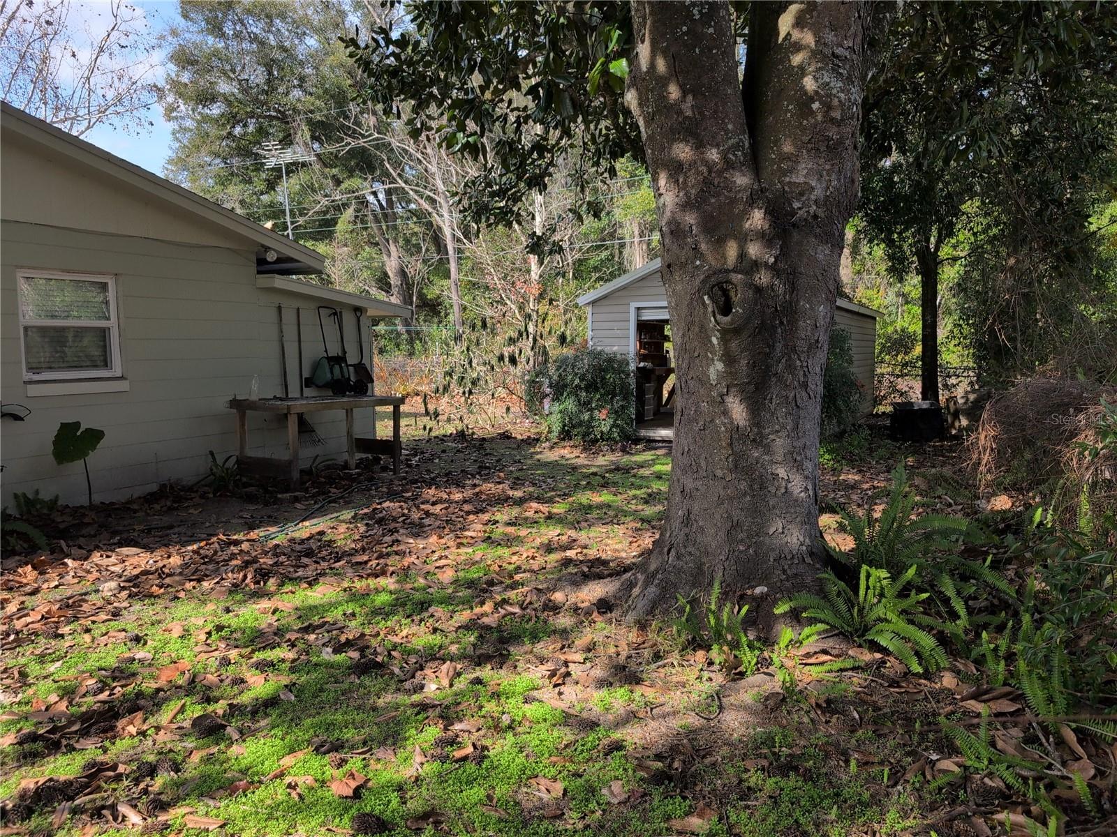 1105 NE 45 PL, OCALA, FL, 34479