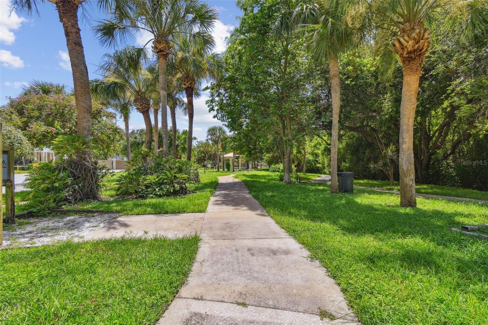2210 UTOPIAN DR E #206, CLEARWATER, FL, 33763