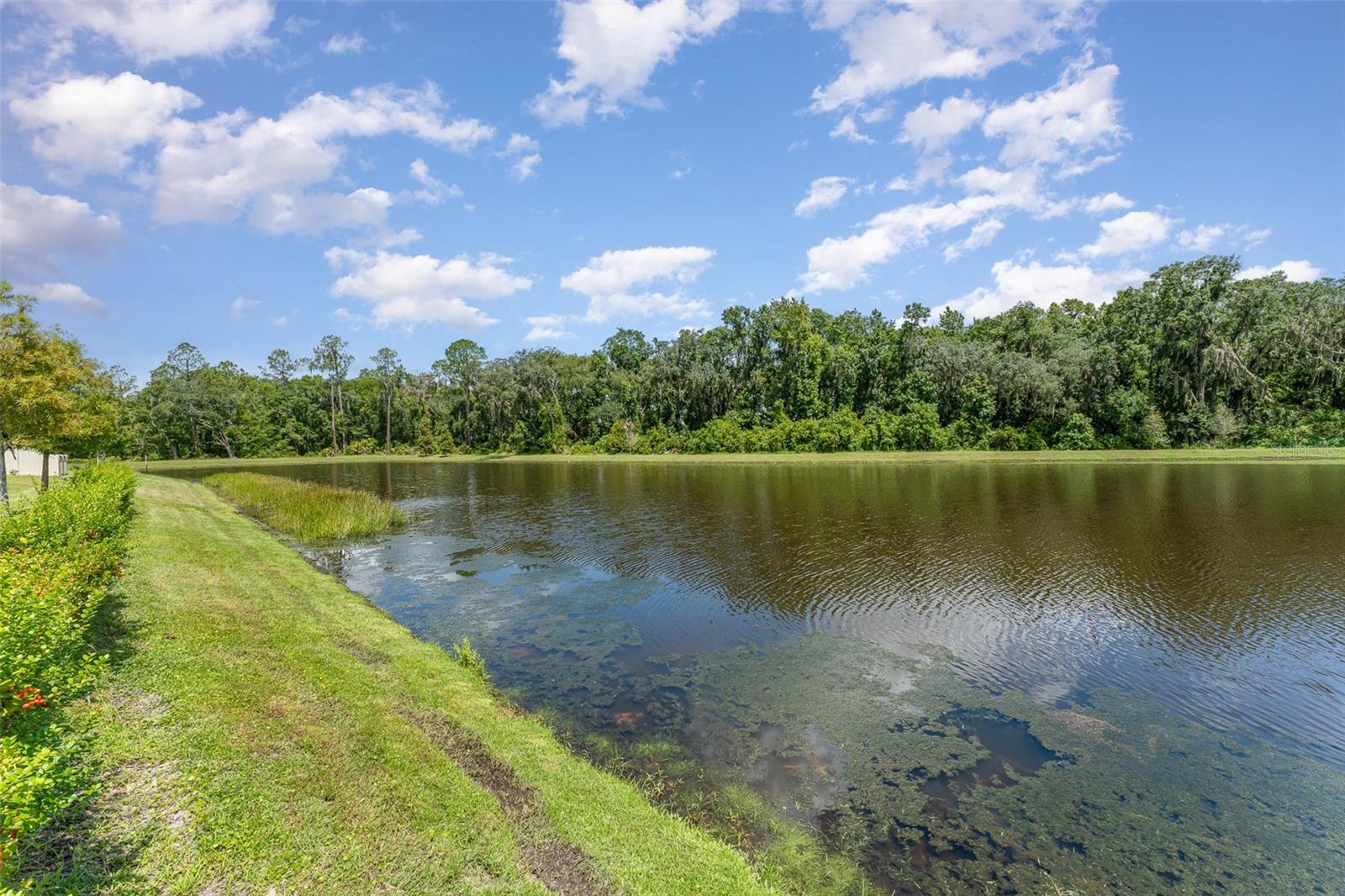 6316 DOLOSTONE DR, LAKELAND, FL, 33811