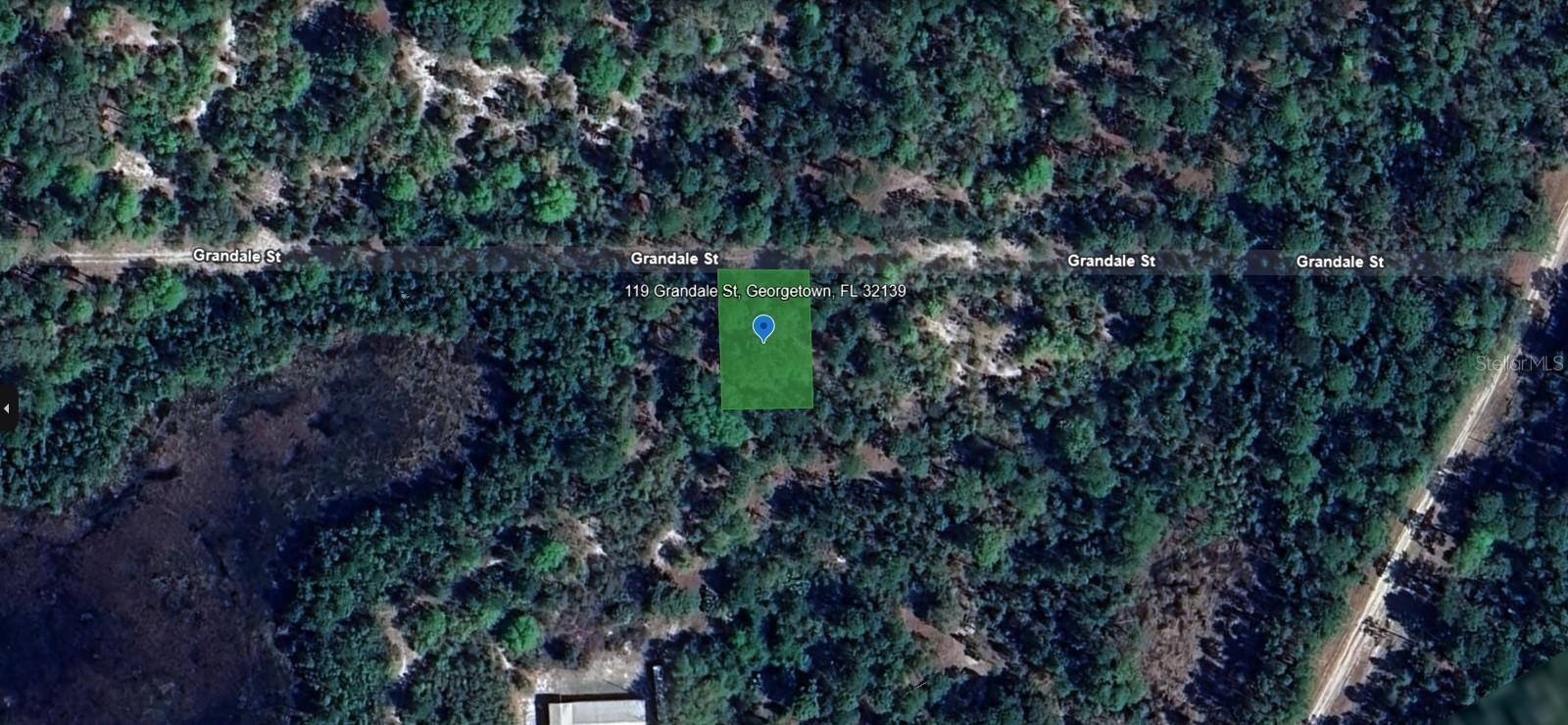 119 GRANDALE ST, GEORGETOWN, FL, 32139