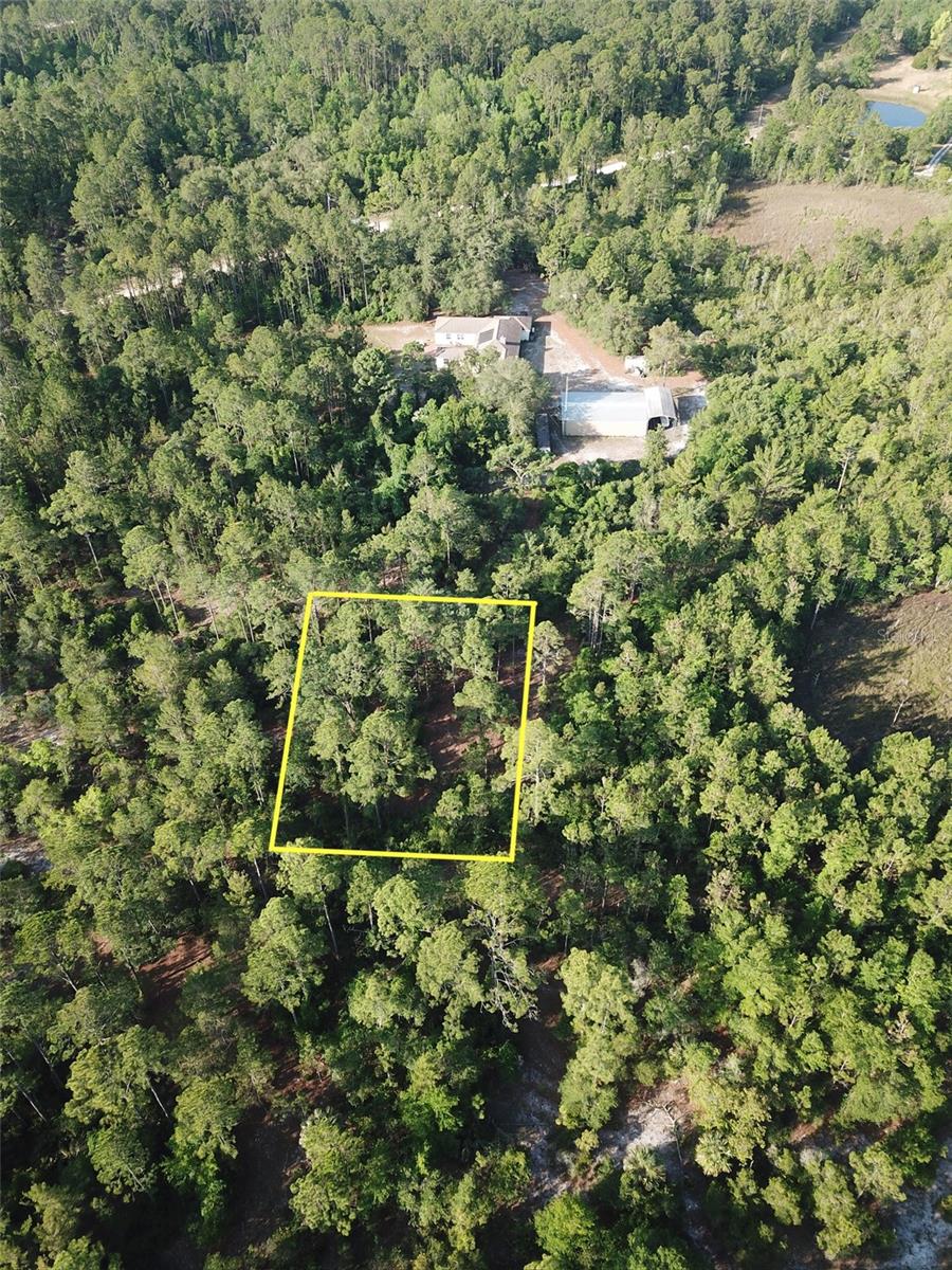 119 GRANDALE ST, GEORGETOWN, FL, 32139