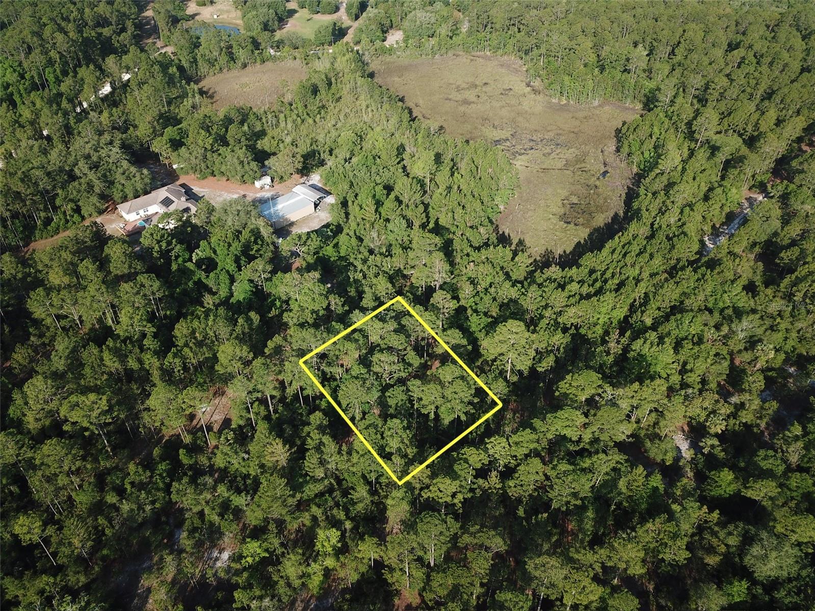 119 GRANDALE ST, GEORGETOWN, FL, 32139