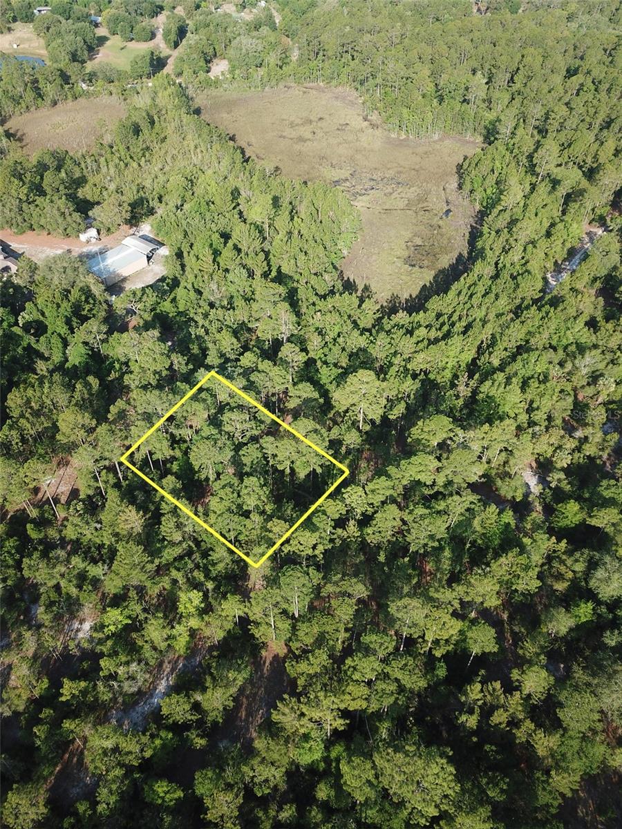 119 GRANDALE ST, GEORGETOWN, FL, 32139