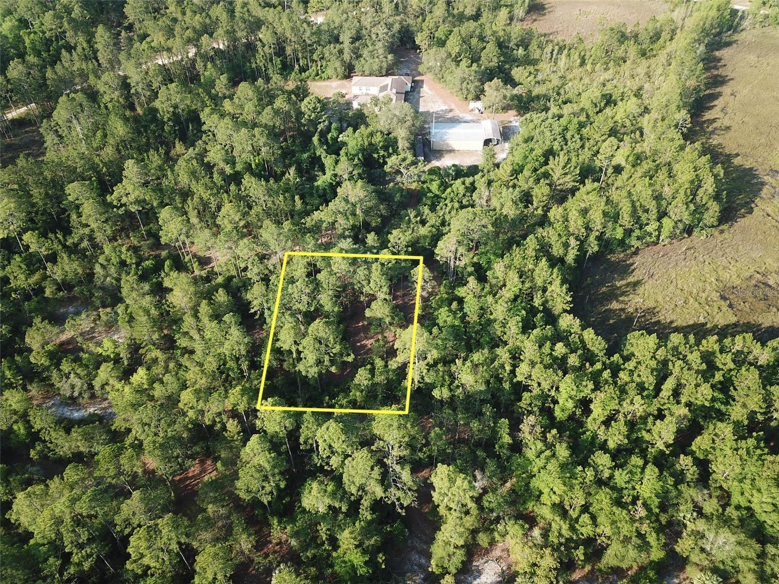 119 GRANDALE ST, GEORGETOWN, FL, 32139