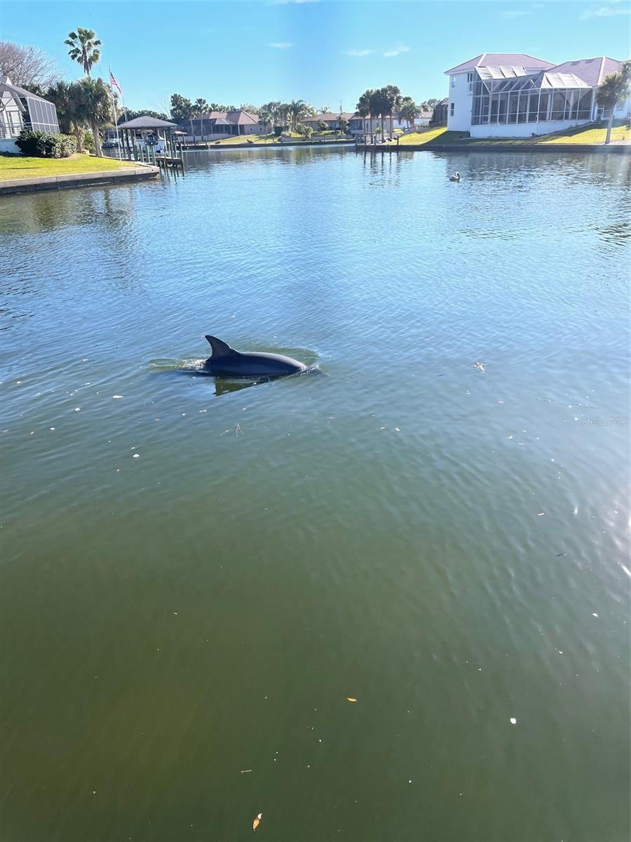 3 CREEK CT, PALM COAST, FL, 32137