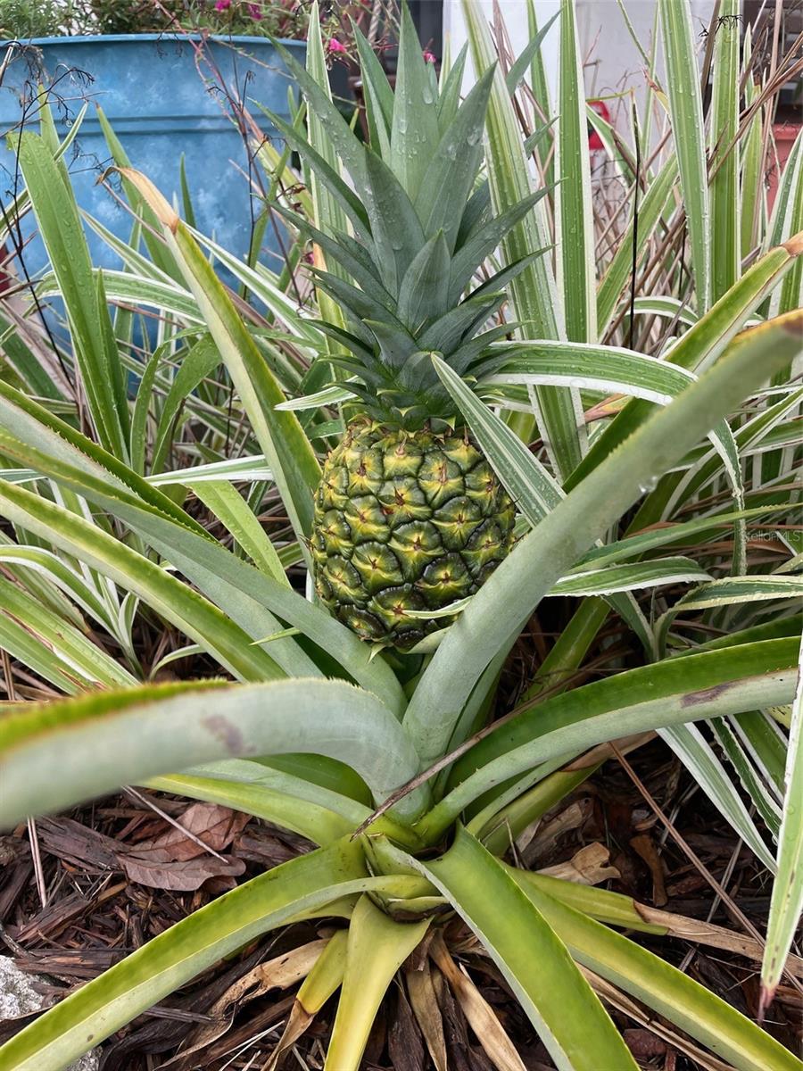 3 CREEK CT, PALM COAST, FL, 32137