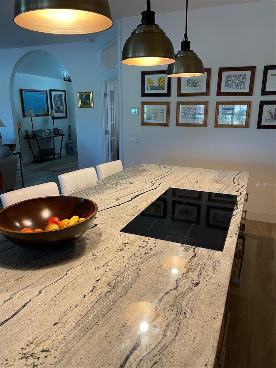 3 CREEK CT, PALM COAST, FL, 32137