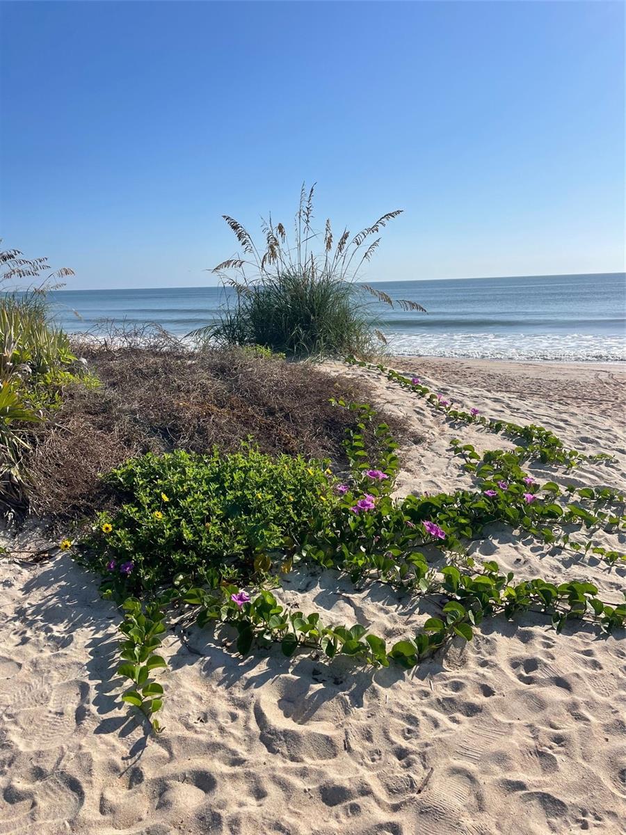 3 CREEK CT, PALM COAST, FL, 32137