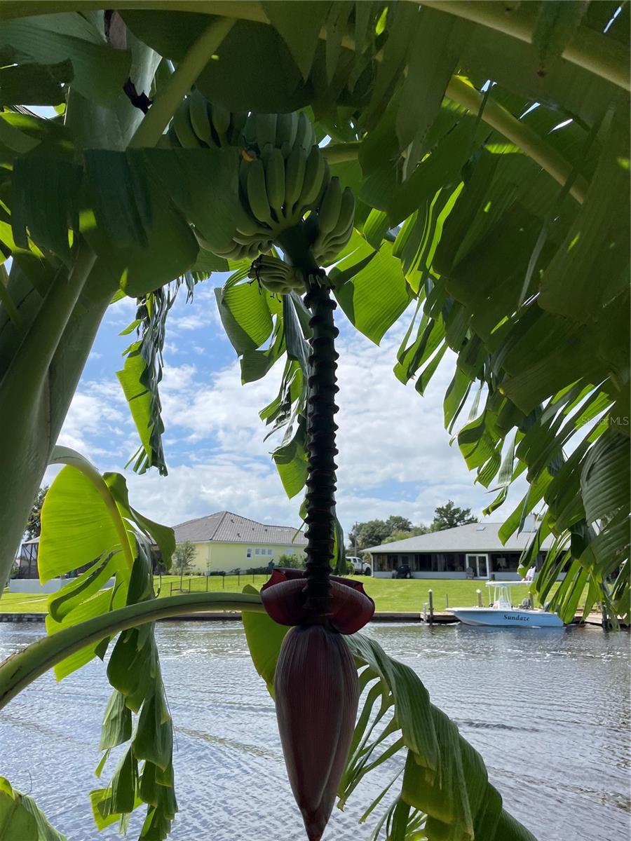 3 CREEK CT, PALM COAST, FL, 32137