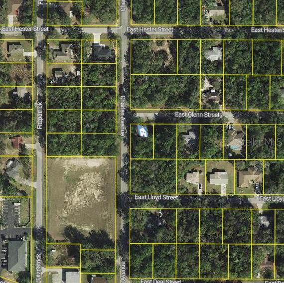 3022 E GLENN ST, INVERNESS, FL, 34453