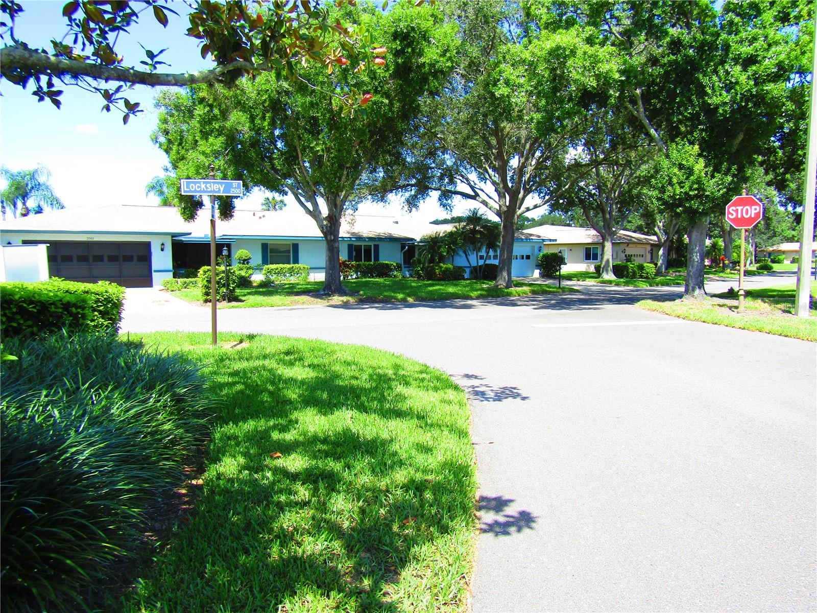 2501 LONIGAN PL, SUN CITY CENTER, FL, 33573