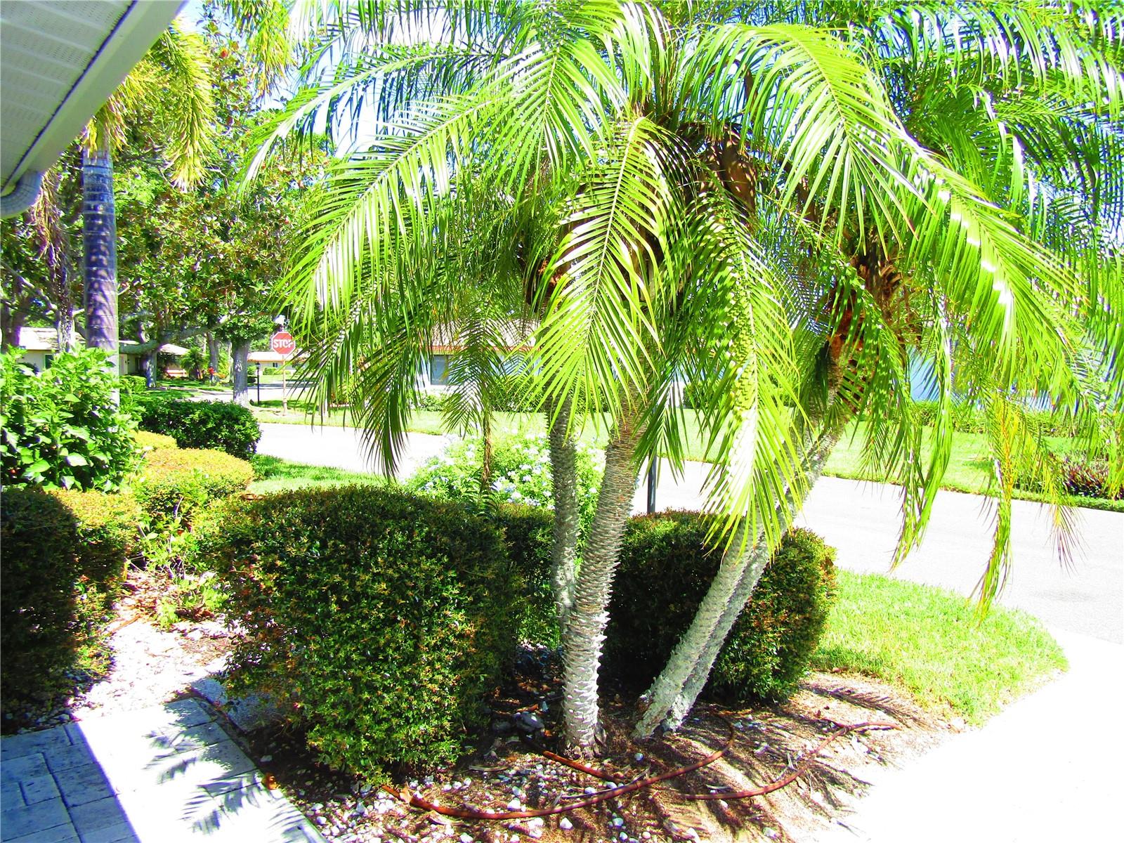 2501 LONIGAN PL, SUN CITY CENTER, FL, 33573