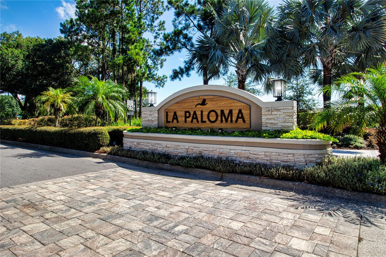 3747 LAUGHING DOVE AVE ##60/5, SUN CITY CENTER, FL, 33573