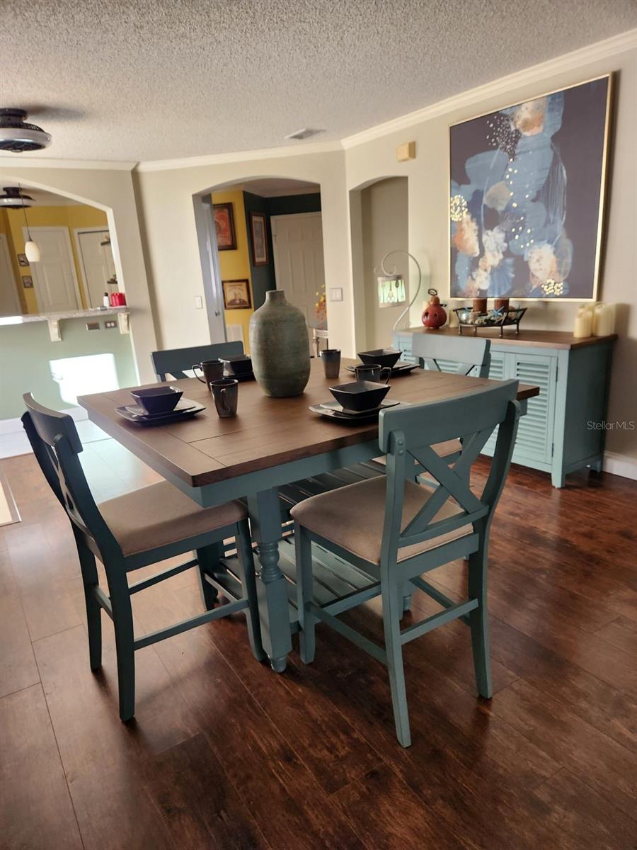 743 RAMIREZ AVE, THE VILLAGES, FL, 32159