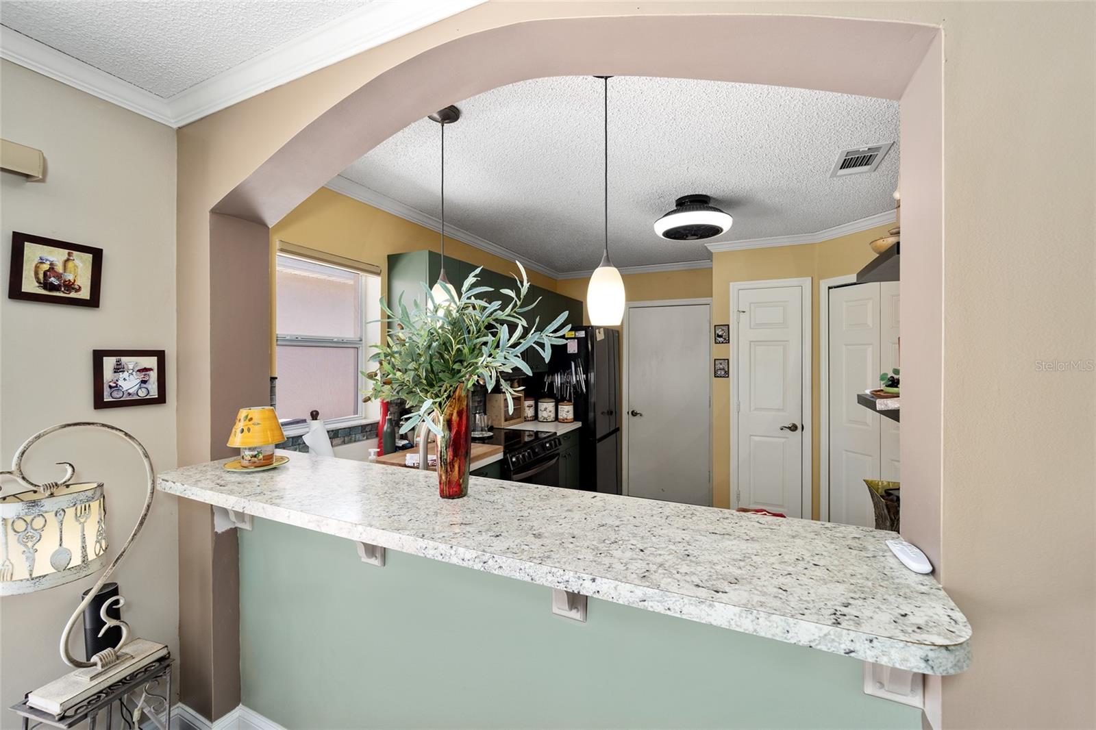 743 RAMIREZ AVE, THE VILLAGES, FL, 32159