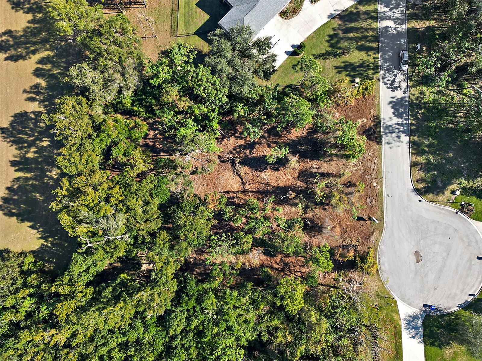 7082 NORNE LN, MOUNT DORA, FL, 32757
