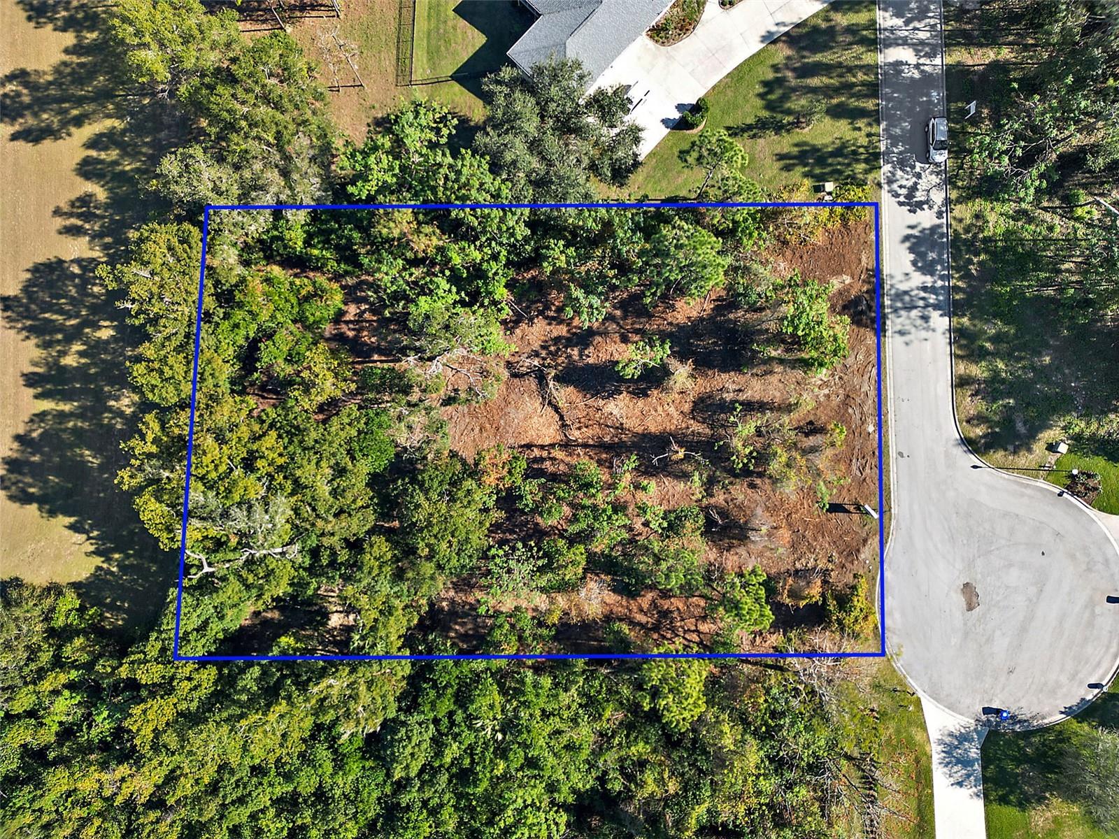 7082 NORNE LN, MOUNT DORA, FL, 32757