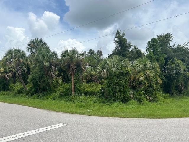18482 BUTTERCUP AVE, PORT CHARLOTTE, FL, 33954
