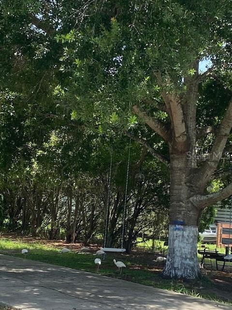 15433 CARROLLS CT, TAVARES, FL, 32778