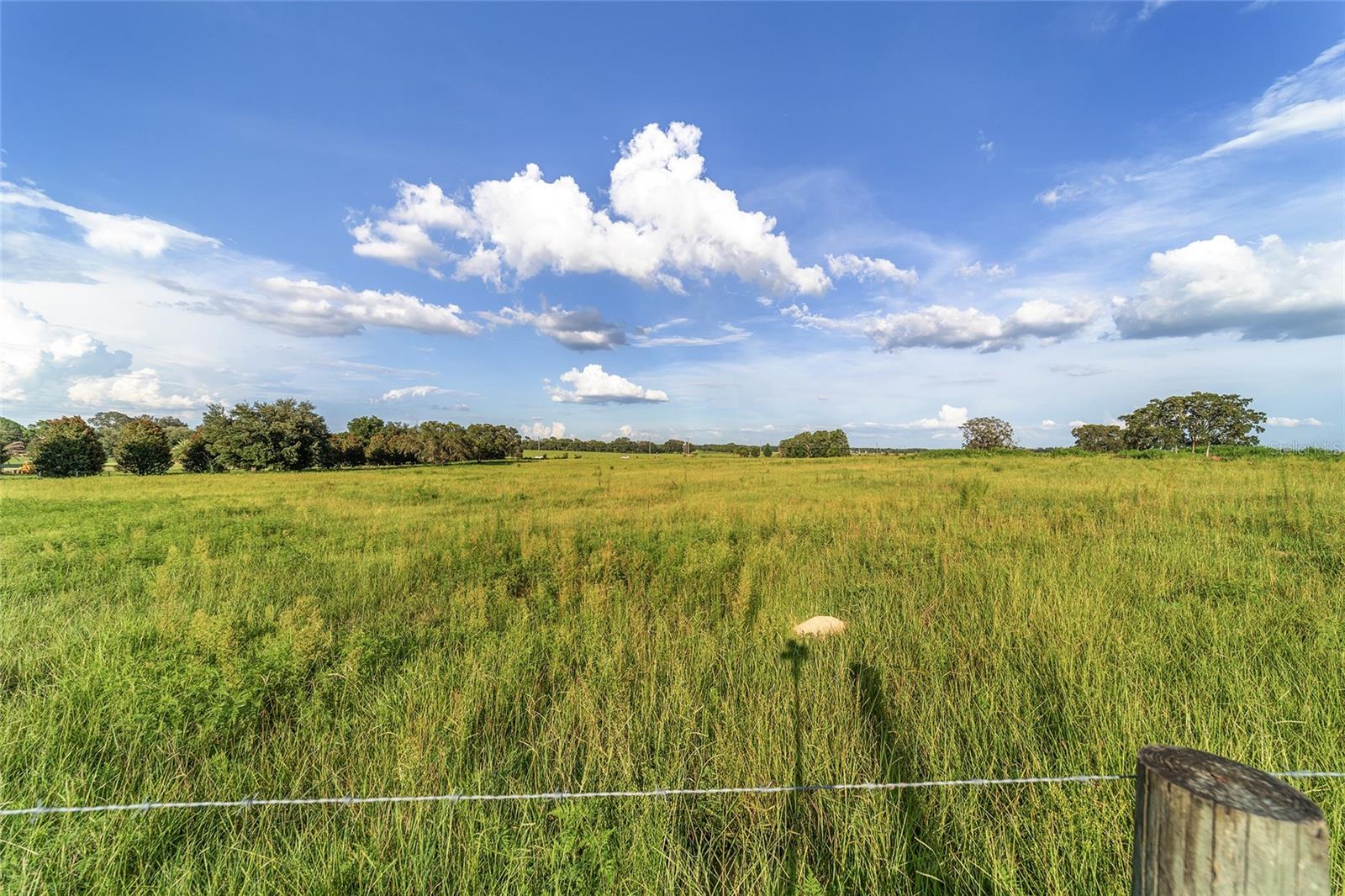 9105 SE 55TH TER, OCALA, FL, 34480