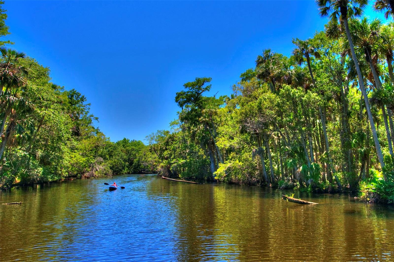 2051 CORNELL PL, PORT ORANGE, FL, 32128