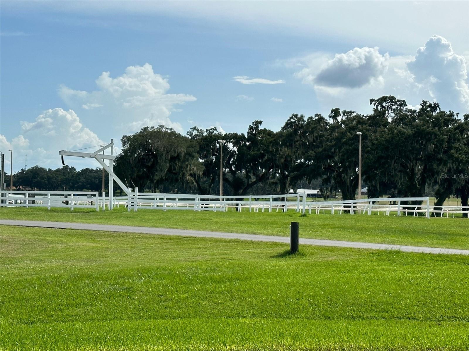 12219 SW 26TH STREET ST, OCALA, FL, 34481