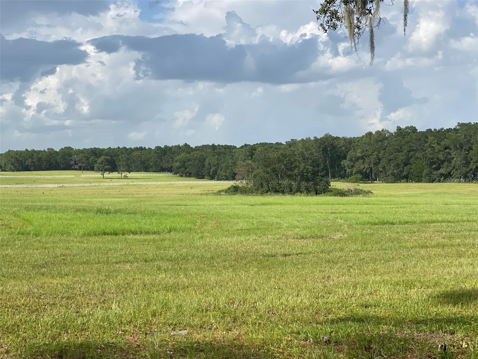 12219 SW 26TH STREET ST, OCALA, FL, 34481